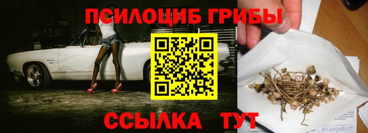 где купить   Галлюциногенные грибы Psilocybine cubensis  Вход с VPN  Тверь 